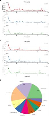 Uropathogenic Escherichia coli infection: innate immune disorder, bladder damage, and Tailin Fang II